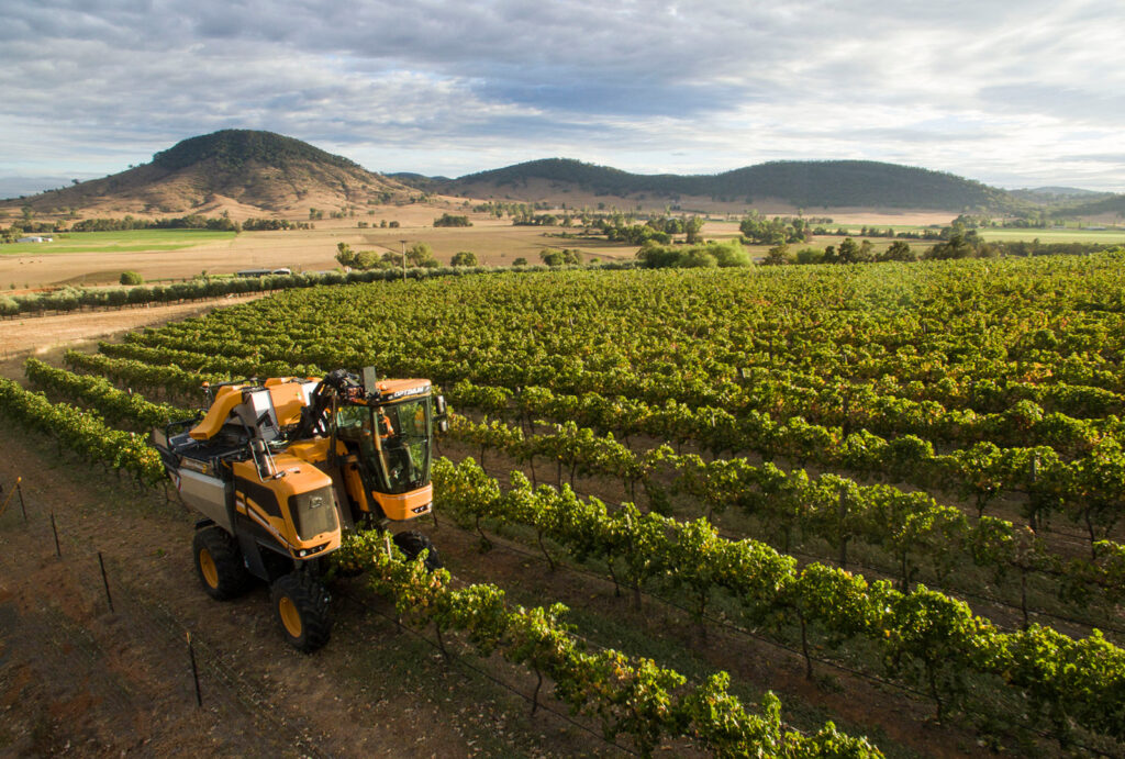 First Ridge Winery Vintage 2025 at First Ridge - First Ridge Wines