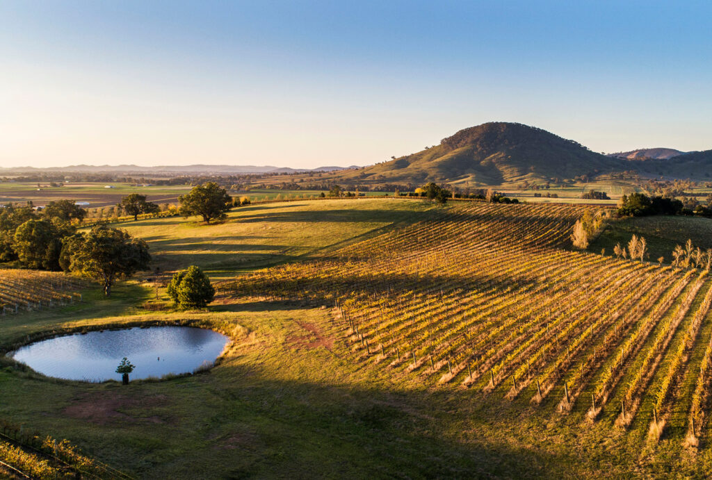 High Ridge Wine Our Story - First Ridge Wines