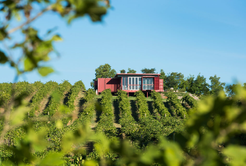 Vineyard with cellar door in background.