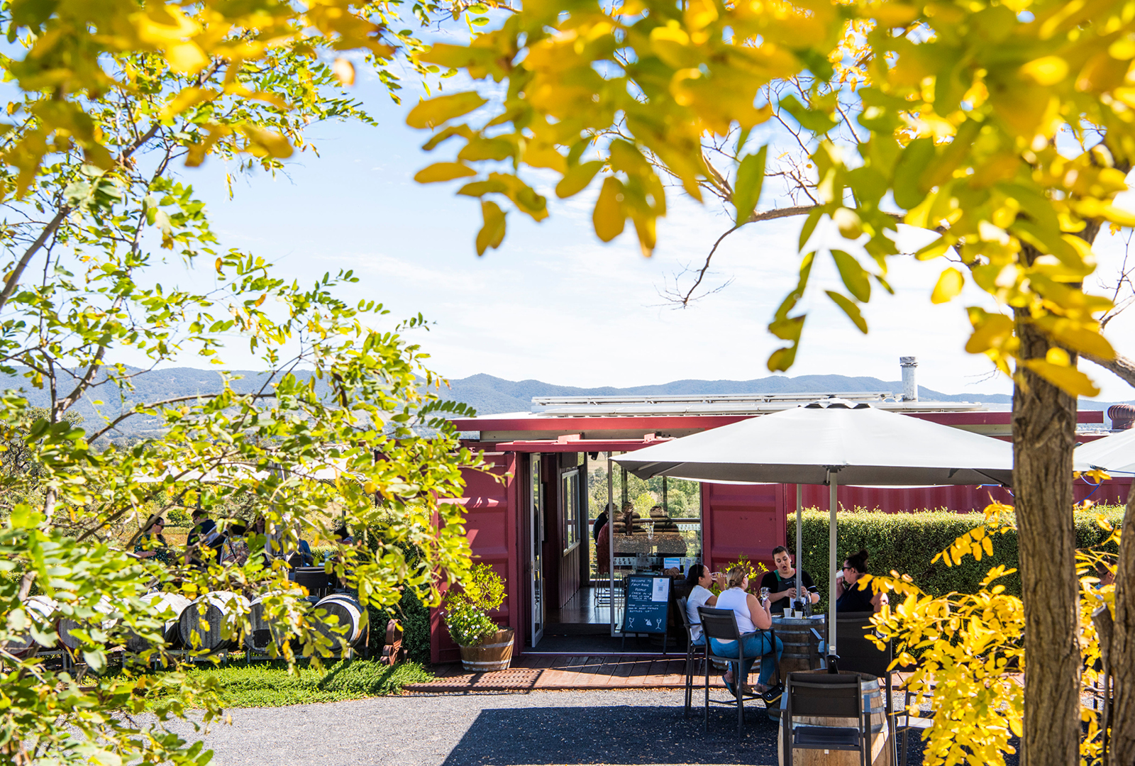 First Ridge Winery Profile - First Ridge Wines