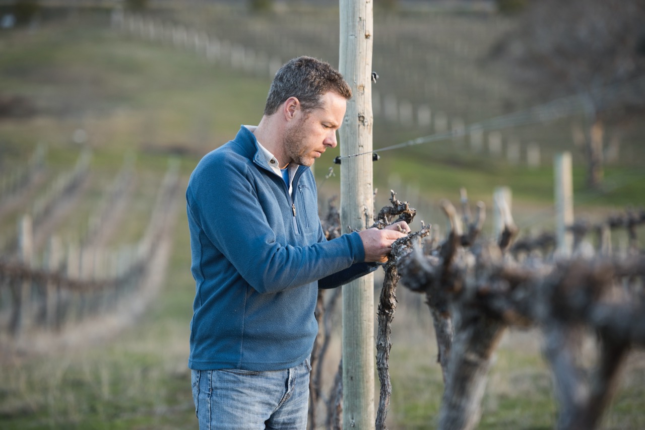 James Manners, Winemaker