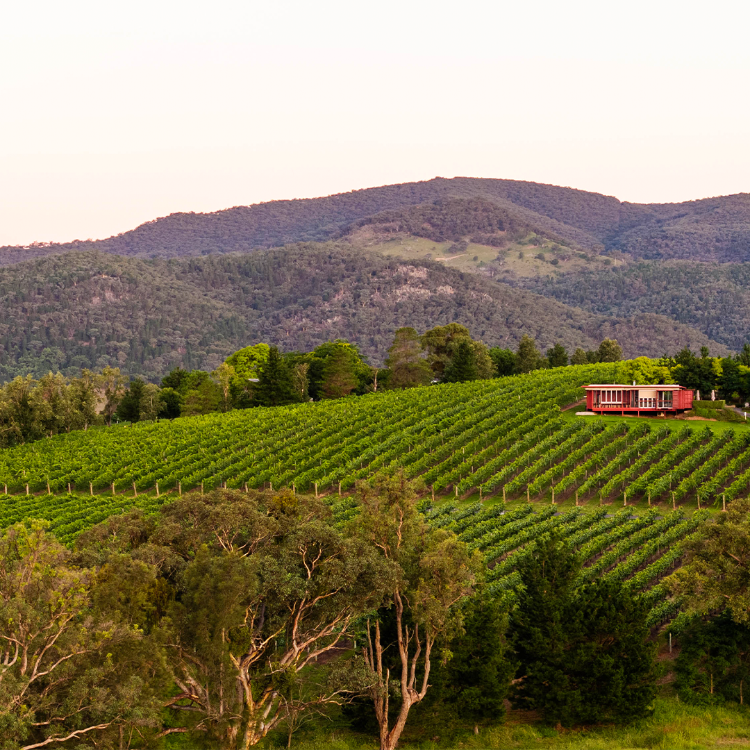 First Ridge Cellar Door, Mudgee