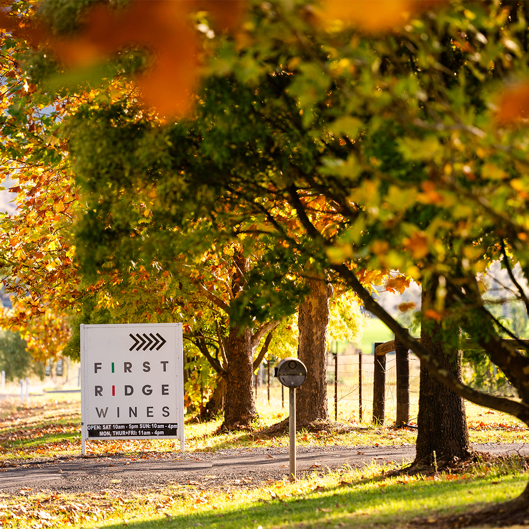 First Ridge Cellar Door, Mudgee